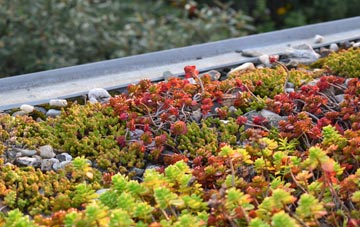 the cost of Keeston green roof installation