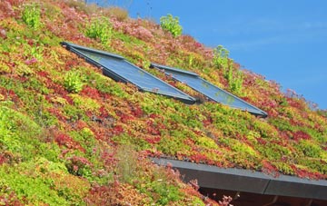 Keeston living roof systems